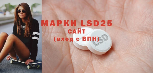 шишки Баксан