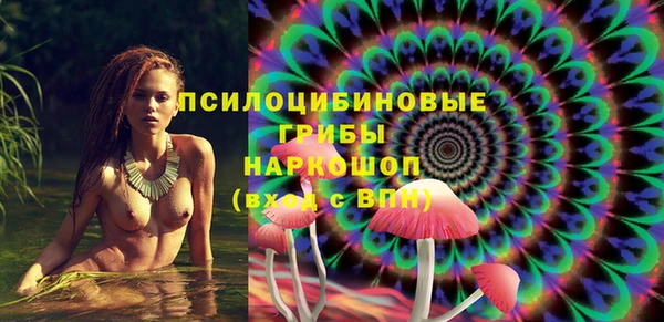 шишки Баксан