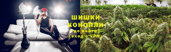 PSILOCYBIN Балахна
