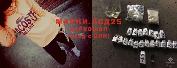шишки Баксан