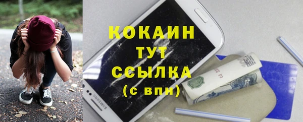 шишки Баксан